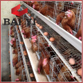 3 Tier 4 Tiers Chicken Layer Battery Cage for Tanzania Poultry Farm